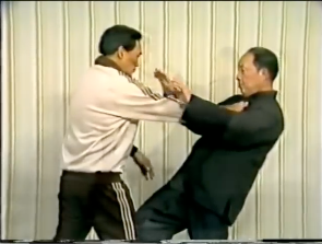 Maître Wang Yen-nien practicant du Tuishou avec un étudiant, annés 1990